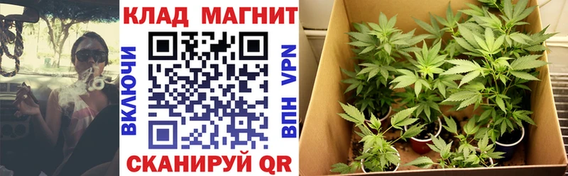 Магазины продажи наркотиков Трёхгорный АМФЕТАМИН  МЕФ  Гашиш  Бошки Шишки  MDMA  Alpha-PVP  COCAIN 