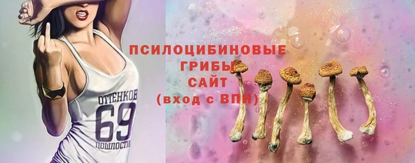 мет Магас
