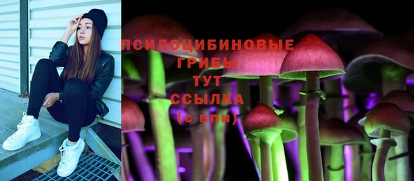 твердый Майский