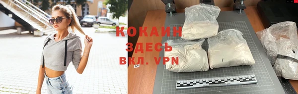твердый Майский