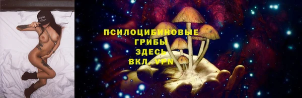a pvp Снежинск