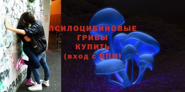 Альфа ПВП Магадан