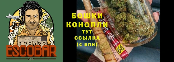 твердый Майский