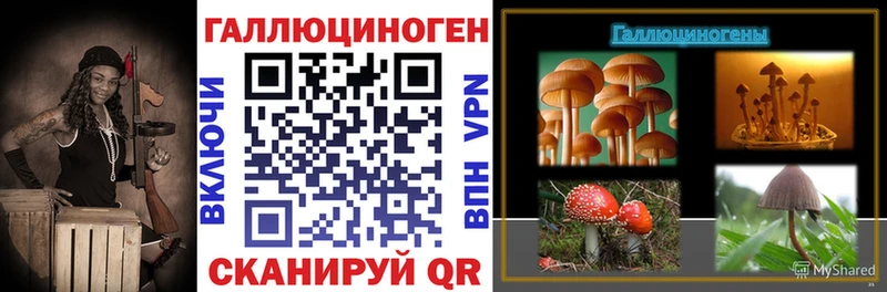 Псилоцибиновые грибы Cubensis  Трёхгорный 